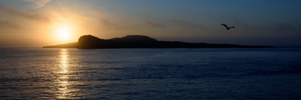 sidney Profile Banner