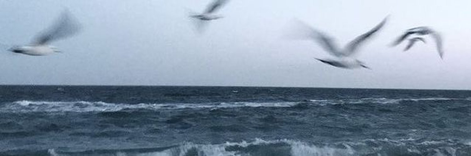 hunterhintxx's profile banner image