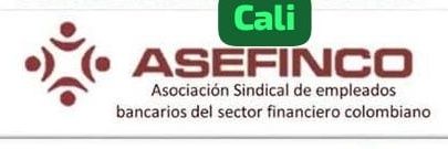 Asefinco Cali banner
