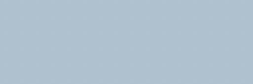 zzok! banner