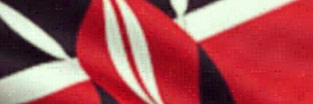 ayam_wil's profile banner image