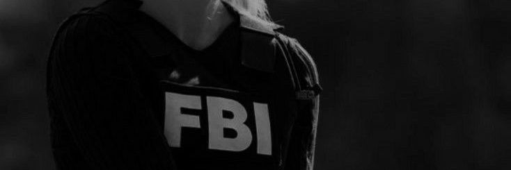 fxarless_fbi's profile banner image