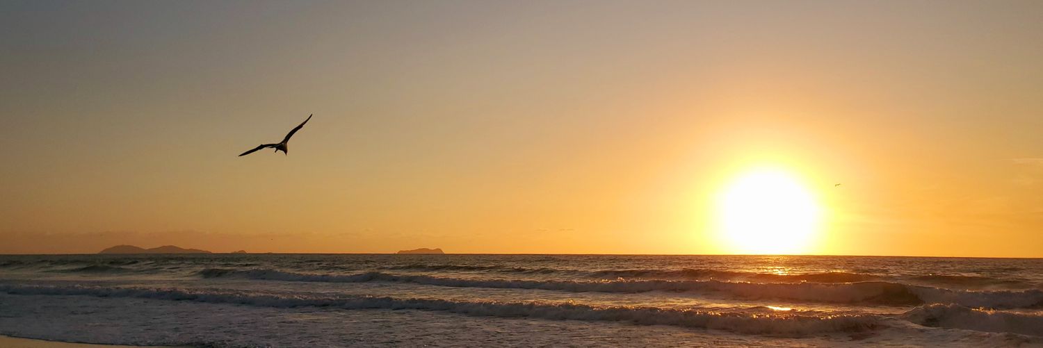 soyon's profile banner image