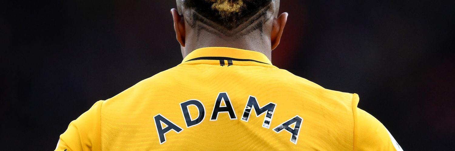 Adama banner