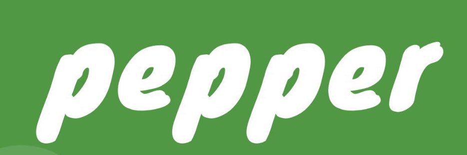 PeppercoinBSC's profile banner image