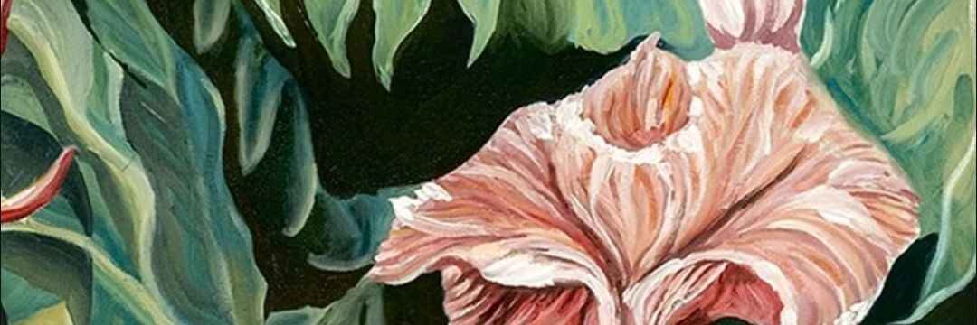 ✦ ꜱᴋʏ ᴊᴏʜɴ ✦ missing ATEEZ banner