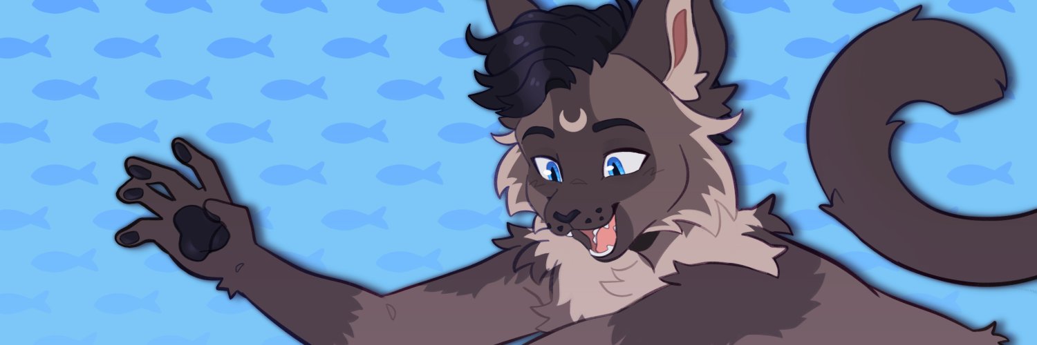 Aina banner