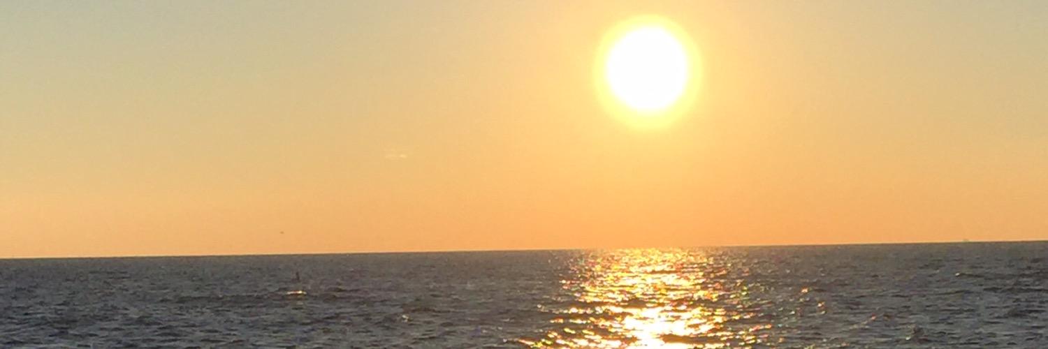 holstromkim's profile banner image
