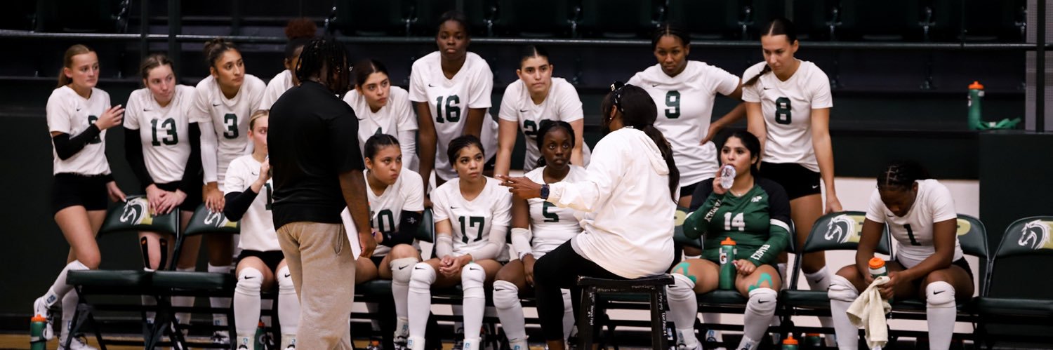 Panola College VB banner