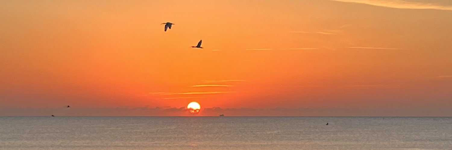 Kelly Is As Kelly Does banner