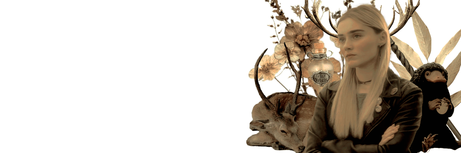 ANIMALQUIMIA's profile banner image