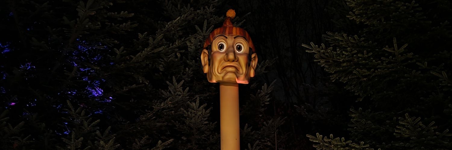 Matthijs Stegeman banner