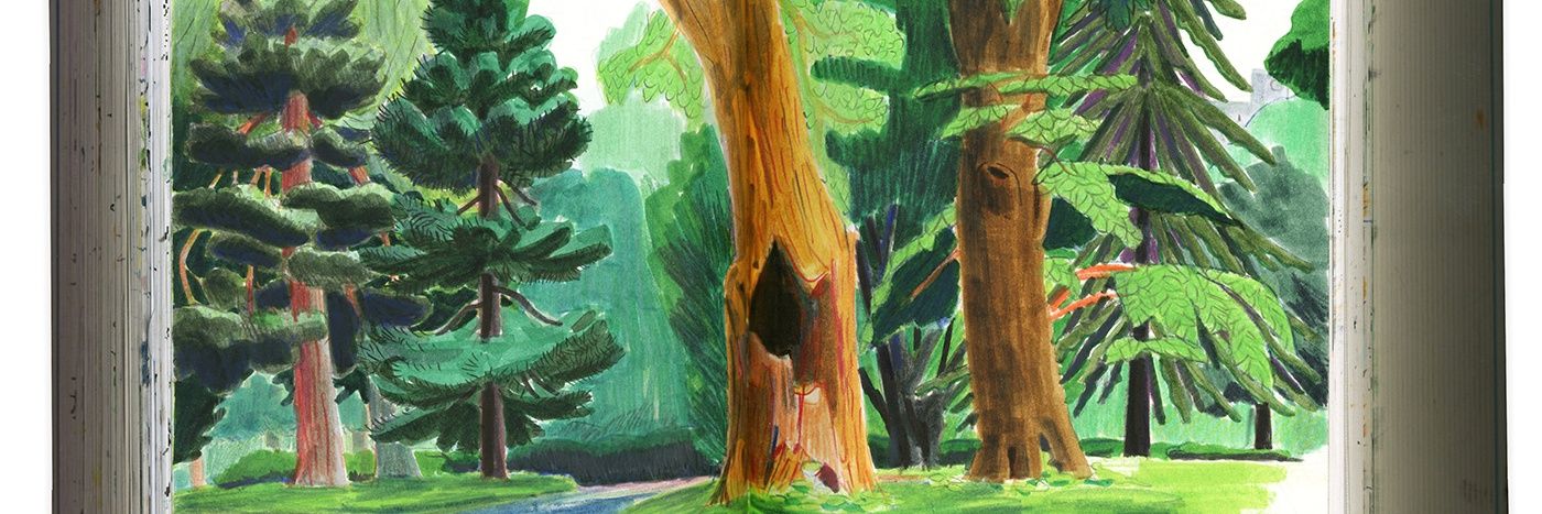 skiesold's profile banner image