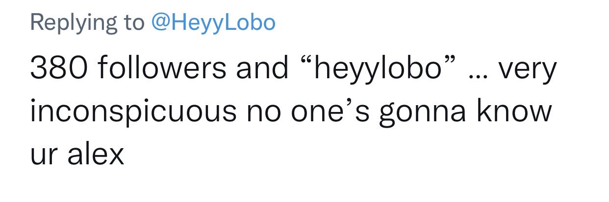 HeyyLobo's profile banner image