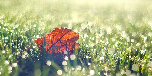 aruum_k's profile banner image