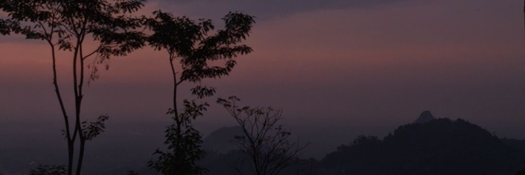 nandulz's profile banner image