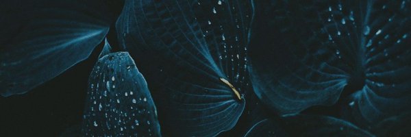 joolieem_v2 Profile Banner