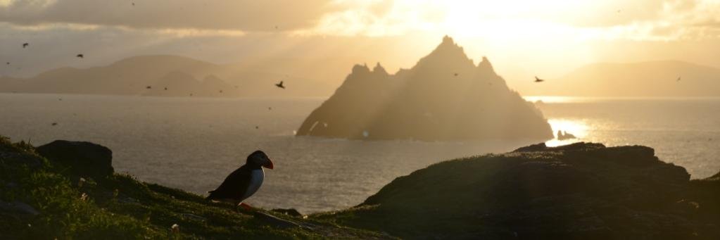 Steve_Mowat's profile banner image