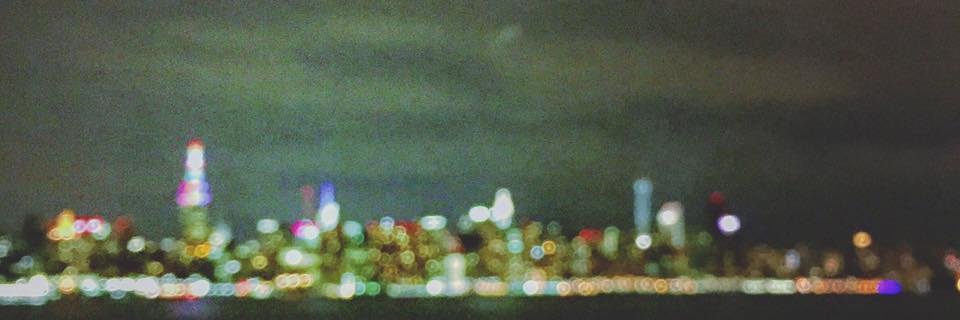 Mark Fayngersh banner