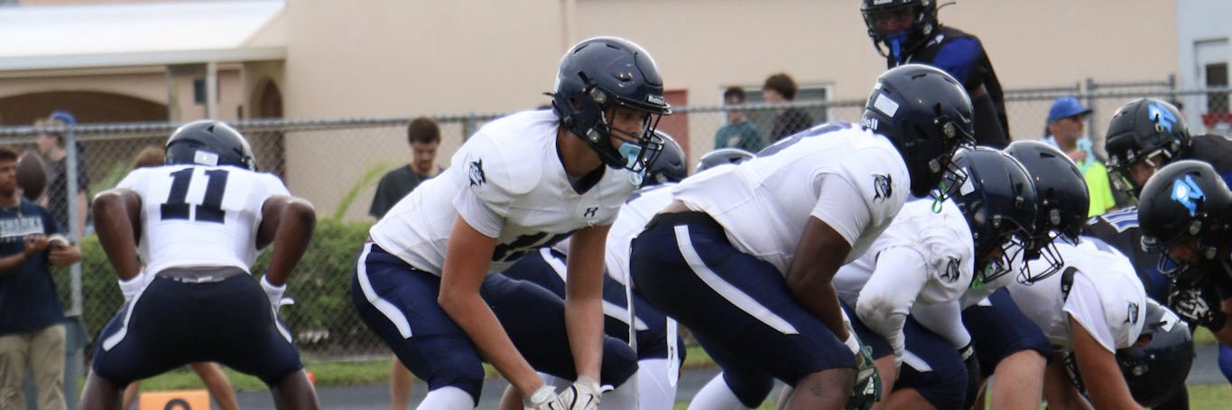 Carter Harrison banner