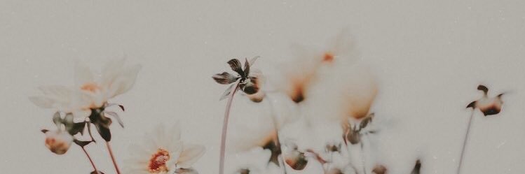 itaticfb's profile banner image