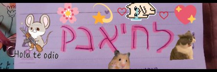 camiriot_'s profile banner image