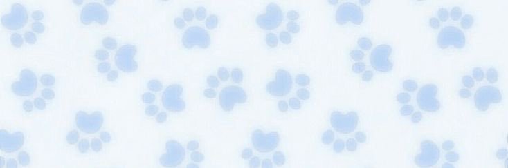 boycvntz's profile banner image