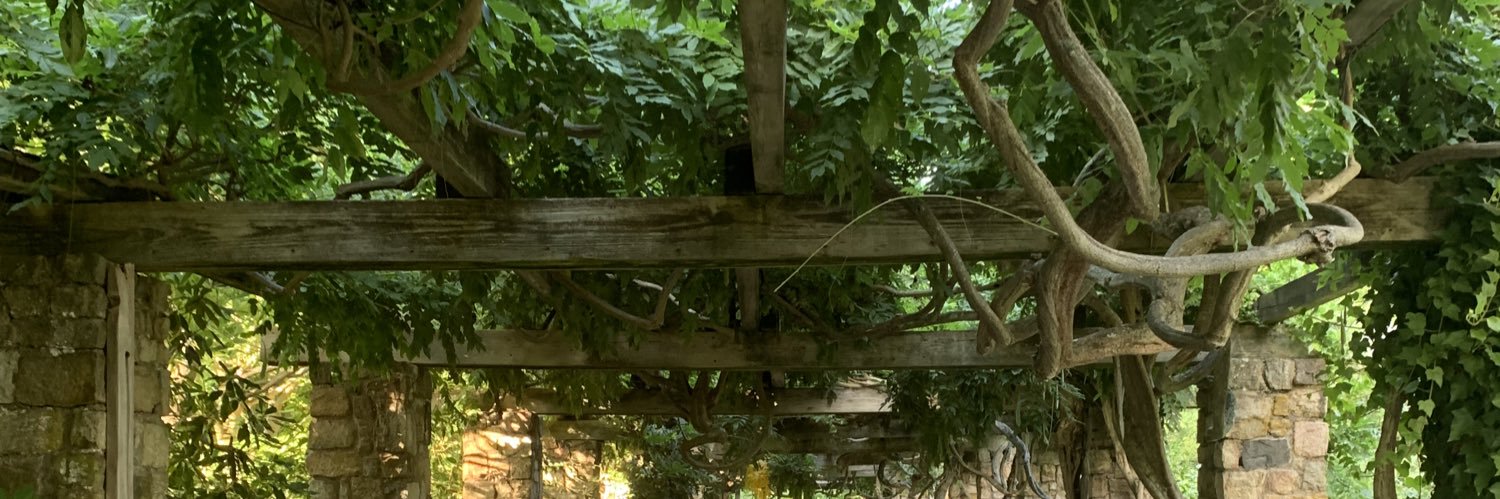 chelsconserves's profile banner image