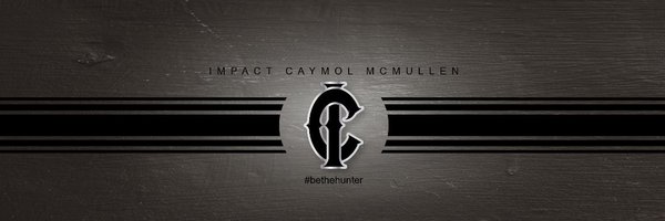 AllisonDHeisler Profile Banner