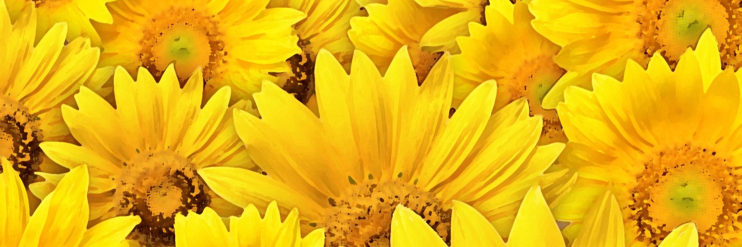 smi_jp's profile banner image
