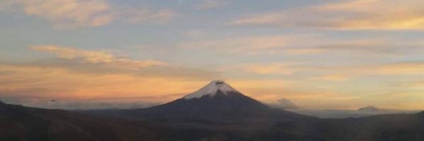 _Caro_Martinez_ Profile Banner