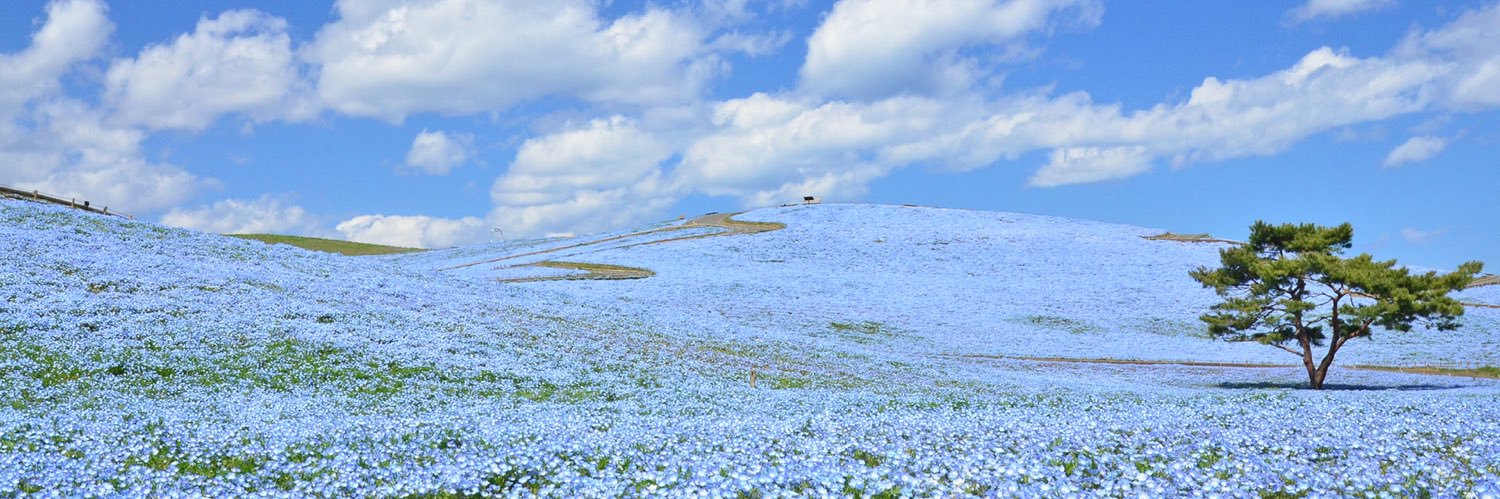 bb731's profile banner image