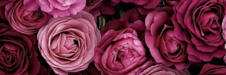 GemaHercar's profile banner image