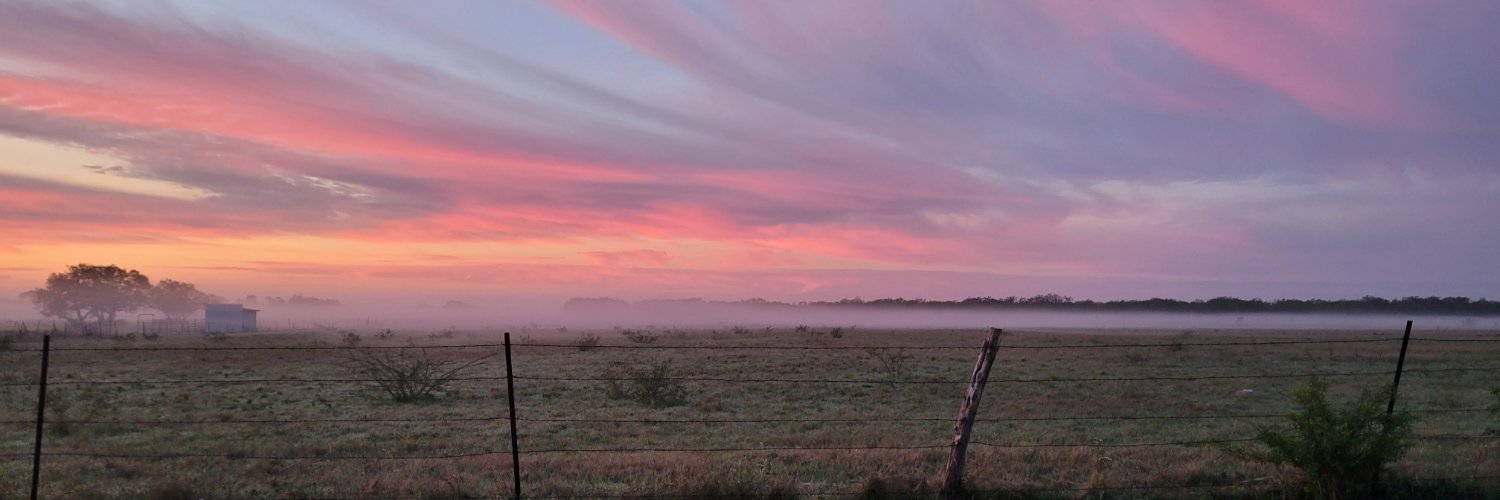 gudbeef's profile banner image