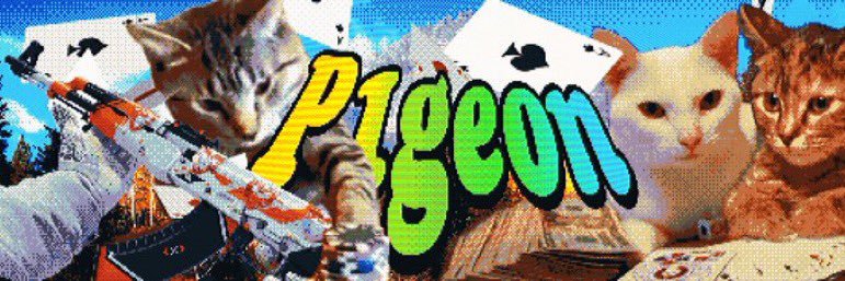 p1geon banner
