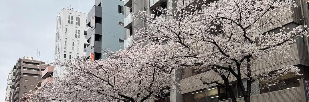 mugi__2629's profile banner image