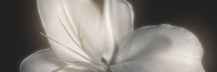 decem m ⭐️ banner