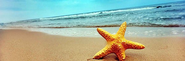 samira_artko Profile Banner