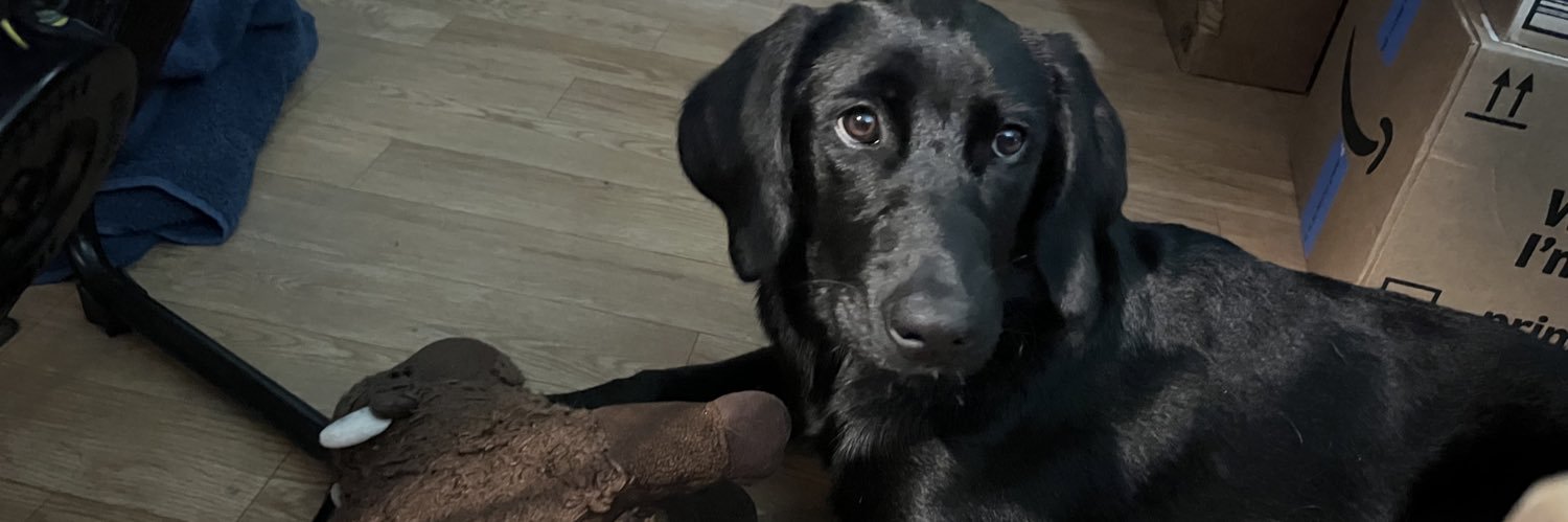 HHH $FEG of WV banner