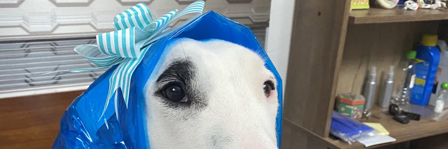 El_Normalito's profile banner image