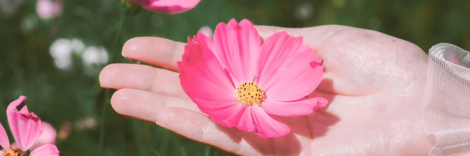 Mai Thảo Ly banner