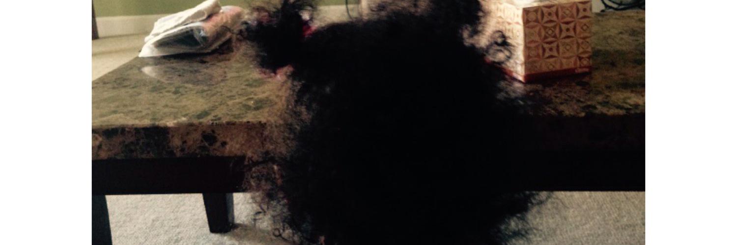That_redbxtch's profile banner image