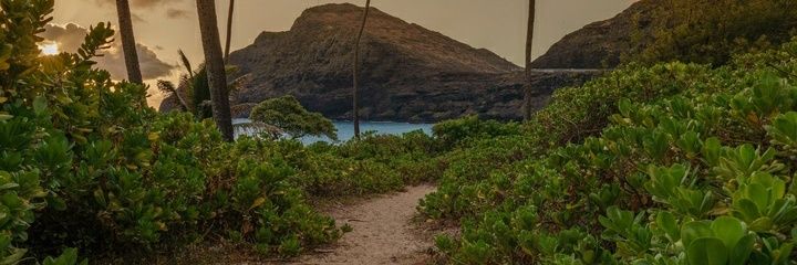 giralecx's profile banner image