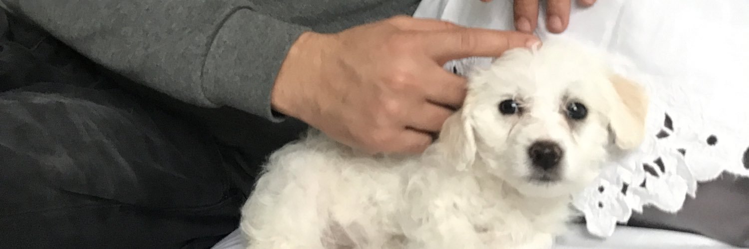 brgk35's profile banner image