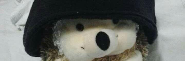 Nyan314's profile banner image