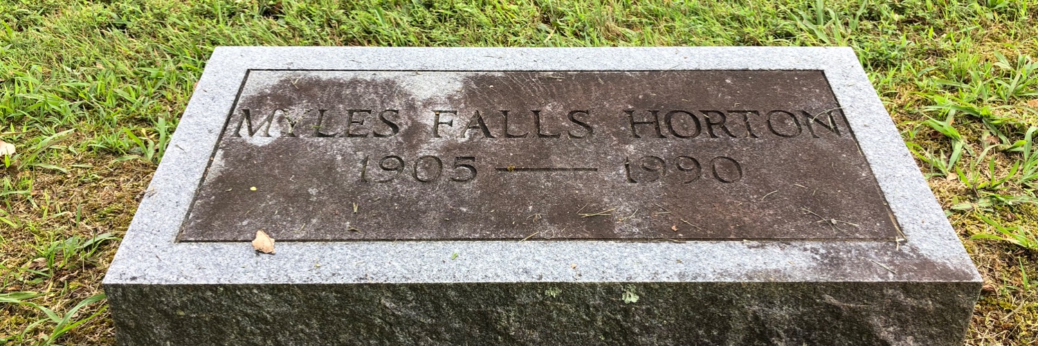 David Lewicki banner