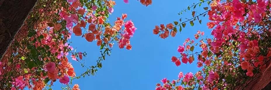 一往情深(100%互fo互关互粉) banner