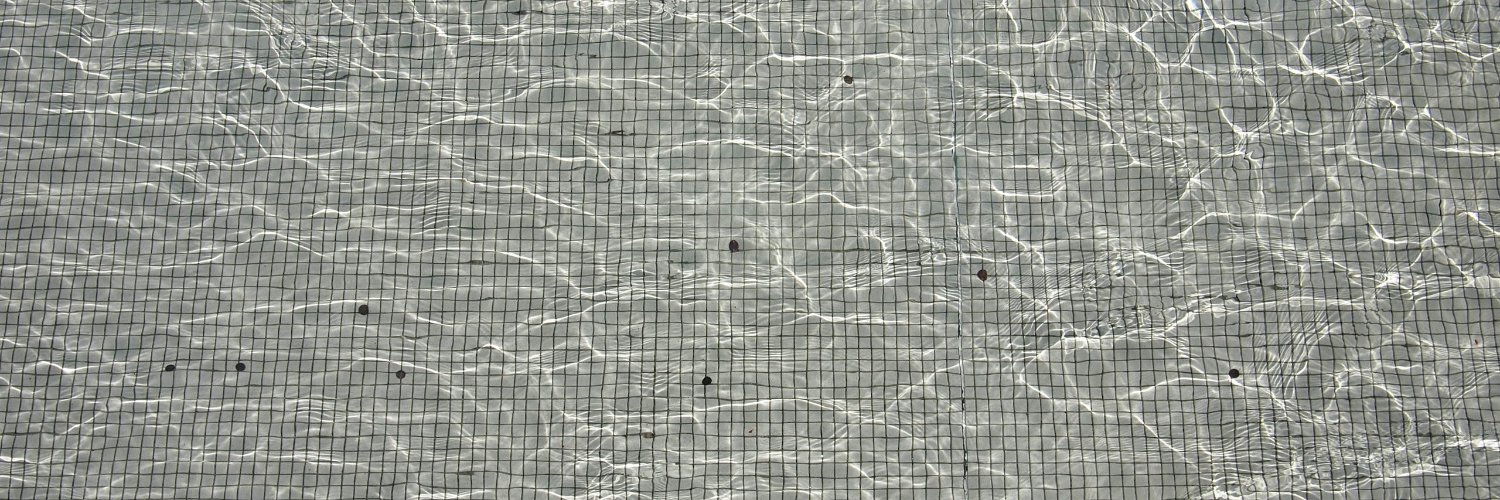 Justin Jay Wang banner