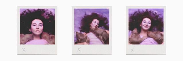 daily kate bush's banner