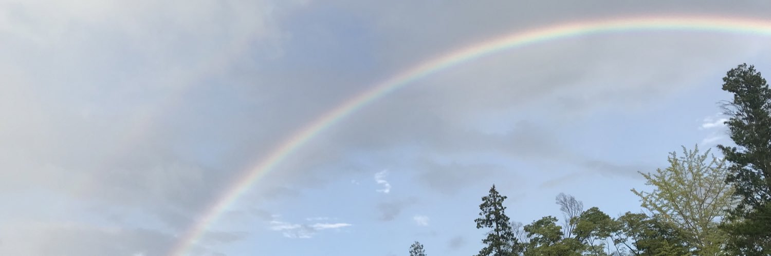 shii74711's profile banner image